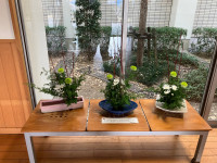 名称未設定のデザイン